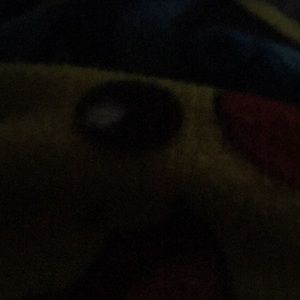 Meet your Posher, Diana